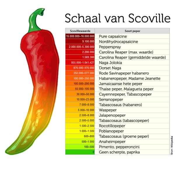 Koningsvogel Sambal jolakia badjak 200 g